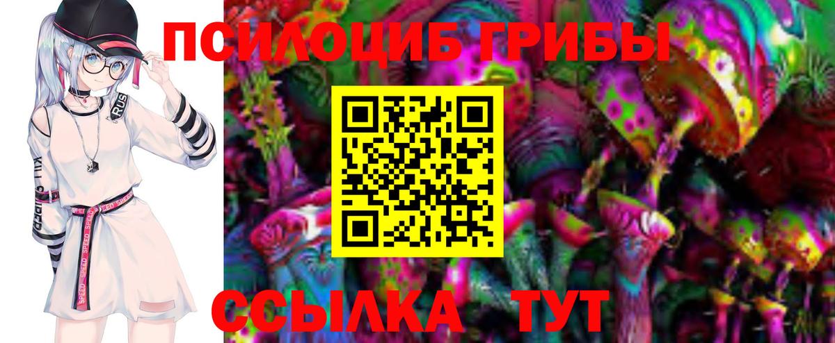 Псилоцибиновые грибы мицелий  Вход с VPN  Братск 